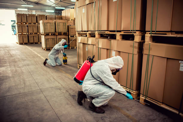 Best Flea Control Services  in Woodway, TX