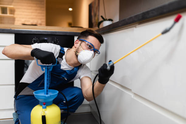 Best Pest Control Near Me in Woodway, TX