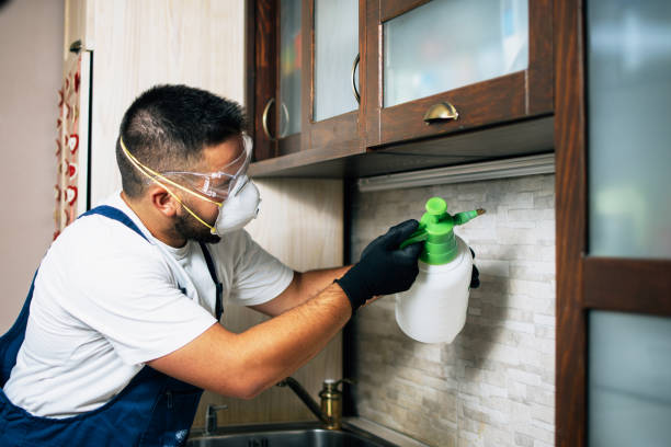 Reliable Woodway, TX Pest Control Solutions