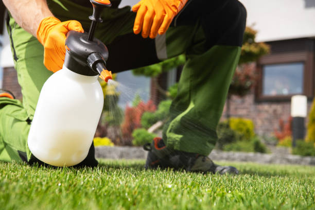 Best Spider Control Near Me  in Woodway, TX