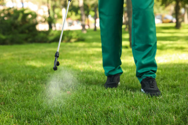 Pest Control for Restaurants in Woodway, TX