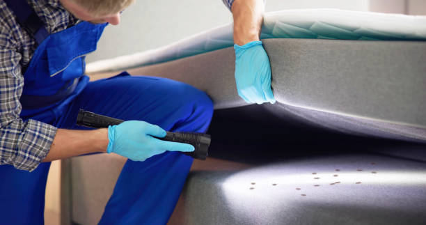 Best Flea Control Services  in Woodway, TX